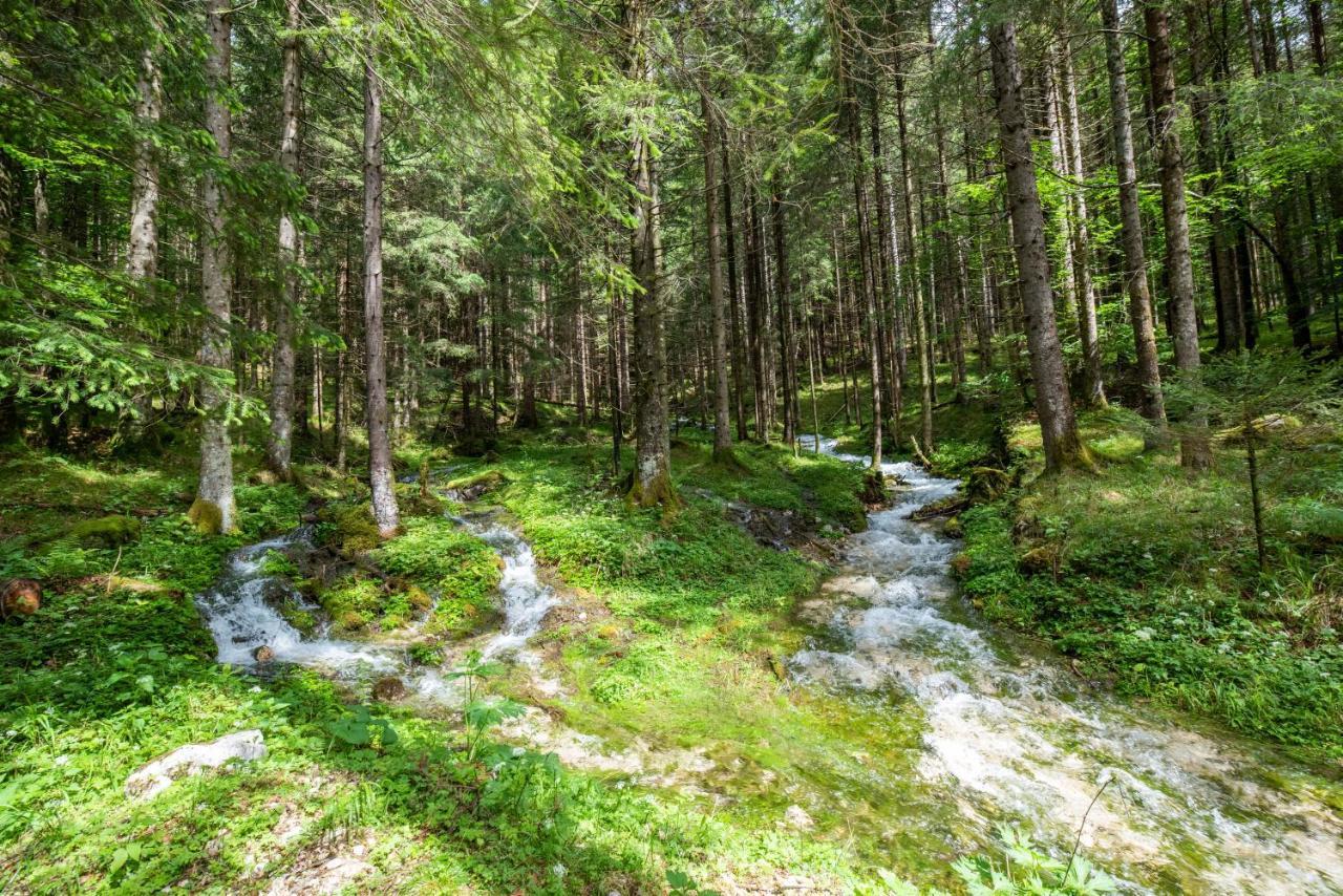 Fairy Tale House Villa Trenta Kültér fotó