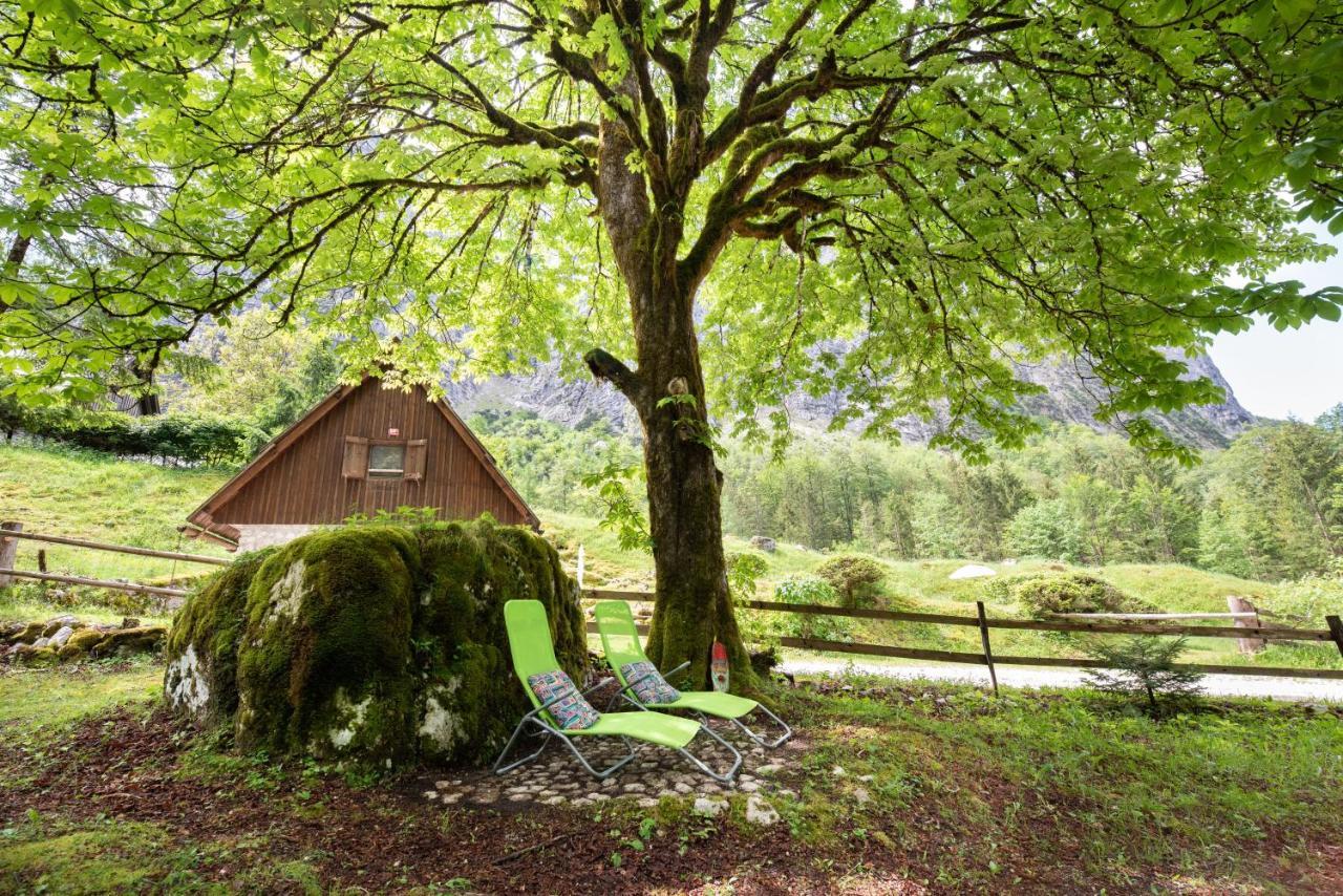 Fairy Tale House Villa Trenta Kültér fotó